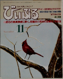 びいぶる　1984年11月