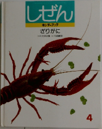 しぜん  キンダーブック  ざりがに
