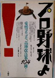 プロ野球よ　
