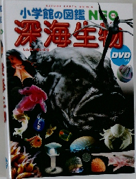 深海生物　