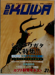 ビー・クワ No.31 