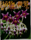 動植物の世界　18
