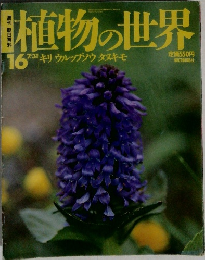 植物の世界　16　７/３１