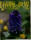植物の世界　16　７/３１