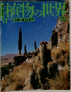 植物の世界　11　6／26号