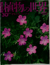 植物の世界 30 