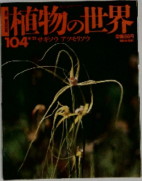 植物の世界　104