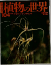 植物の世界　104