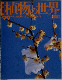 植物の世界　99