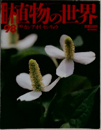 植物の世界98 3/10 カンアオイセンリョウ