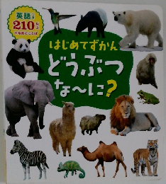 どうぶつ  な~に?