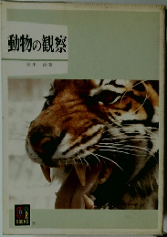 動物の観察