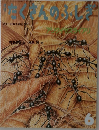 たくさんのふしぎ 2007年6月号