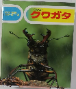 クワガタ 新版 カラー自然シリーズ 3
