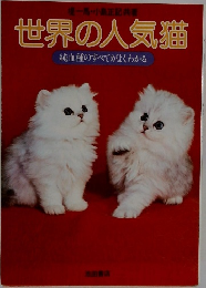 世界の人気猫
