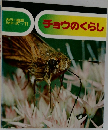 チョウのくらし