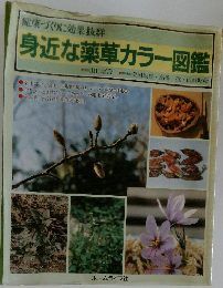 健康づくりに効果抜群　身近な薬草カラー図鑑