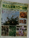 健康づくりに効果抜群　身近な薬草カラー図鑑