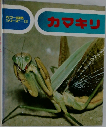 カラー自然シリーズ-12 カマキリ