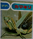 カラー自然シリーズ-12 カマキリ
