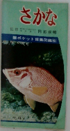 さかな　