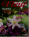 週刊花百科  61　Fleur　クレマチス