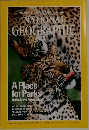 NATIONAL　GEOGRAPHIC　1996年7月号