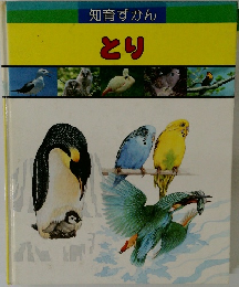 知育ずかん　とり