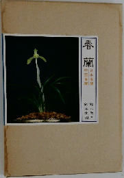 春蘭
