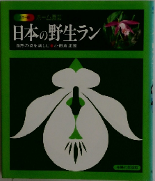日本の野生ラン　自然の姿を楽しむ