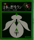 日本の野生ラン　自然の姿を楽しむ