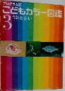 こどもカラー図鑑3　うおとかい