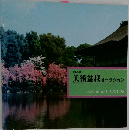 1986・春　美術盆栽オークション