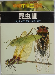 昆虫 3