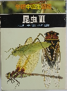 昆虫 3