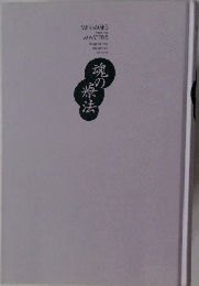 MESSAGES from the MASTERS  Topping into the power of love　魂の療法
