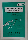 「見えない実像」 の発見 1996