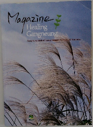 Magazine 　Healing Gangneung　2014年秋