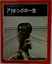 科学のアルバム 10  アカトンボの一生