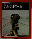 科学のアルバム 10  アカトンボの一生