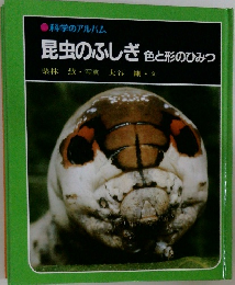 昆虫のふしぎ色と形のひみつ