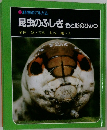昆虫のふしぎ色と形のひみつ