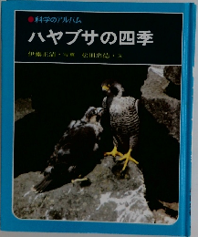 科学のアルバム  ハヤブサの四季