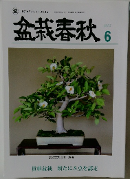 金春秋6