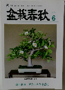 金春秋6