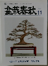 盆栽春秋　2022年11月号