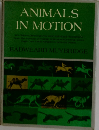 ANIMALS  IN MOTION