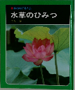 水草のひみつ