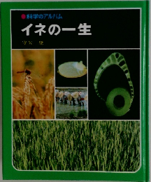科学のアルバム イネの一生