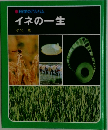 科学のアルバム イネの一生